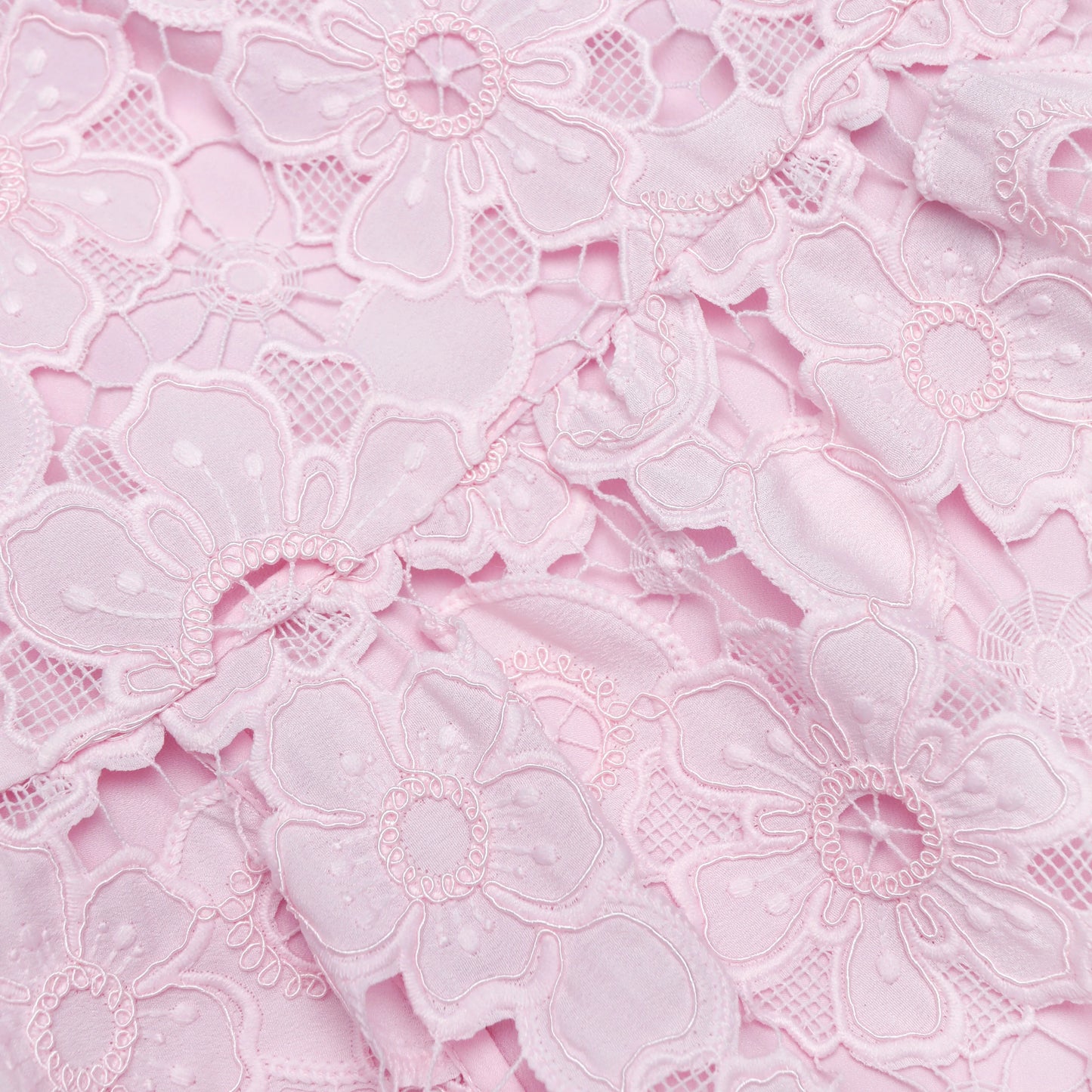 Pink Lace Collared Mini Dress