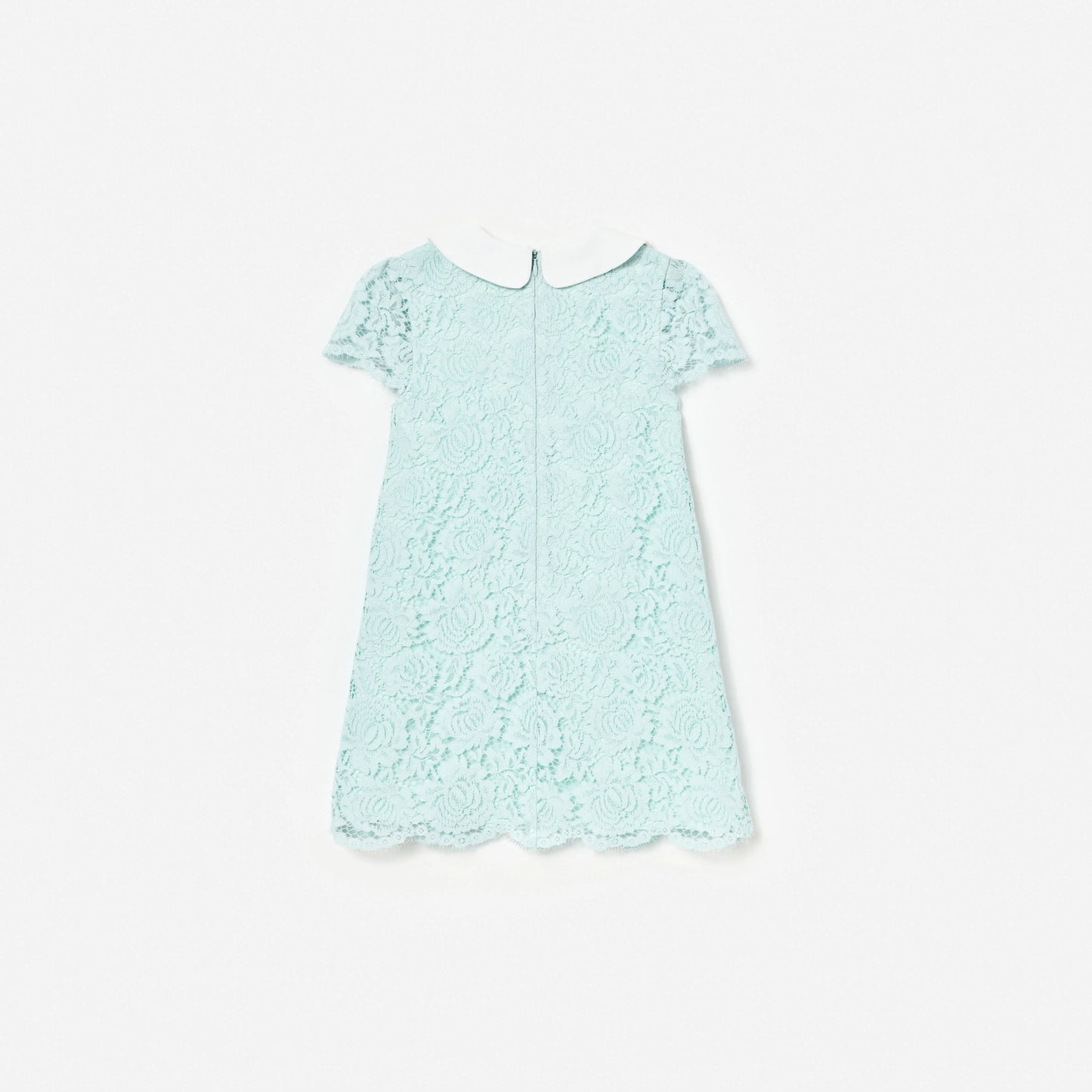 Mint Lace Collared Dress