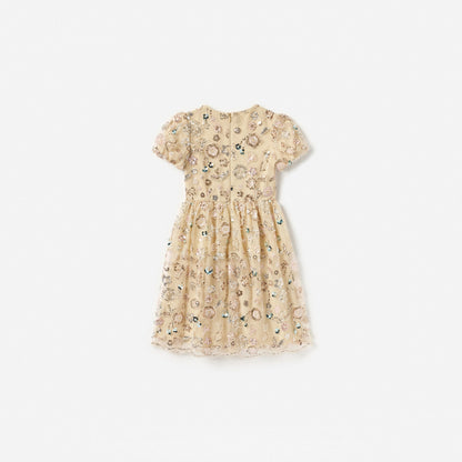 Champagne Sequin Embroidered Dress